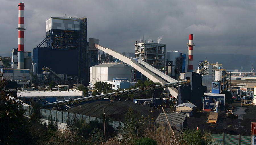 Tribunal Ambiental condena a Endesa por daño en planta de Coronel