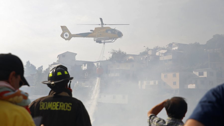 Incendio en Viña del Mar consumió al menos 6 hectáreas en el Sector Las Pataguas