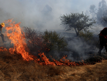 Conaf confirmó que hay 61 incendios forestales y cinco Alertas Roja en el país