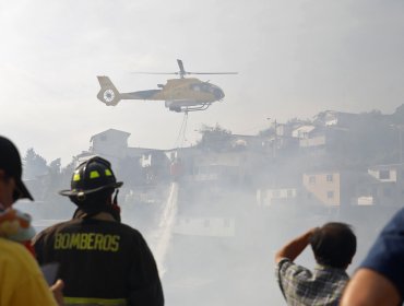 Incendio en Viña del Mar consumió al menos 6 hectáreas en el Sector Las Pataguas