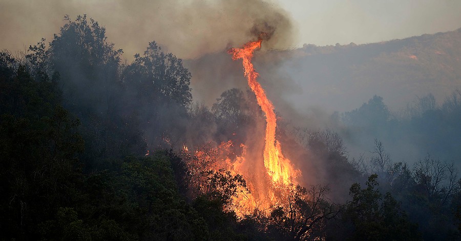 Incendios forestales en Santo Domingo y Navidad han consumido 1.000 hectáreas