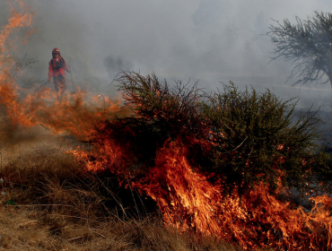 Activo se mantiene incendio forestal que ha consumido 10 hectáreas en Valparaíso