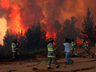 Conaf reporta 44 incendios forestales: 15 activos, 19 controlados y 10 apagados