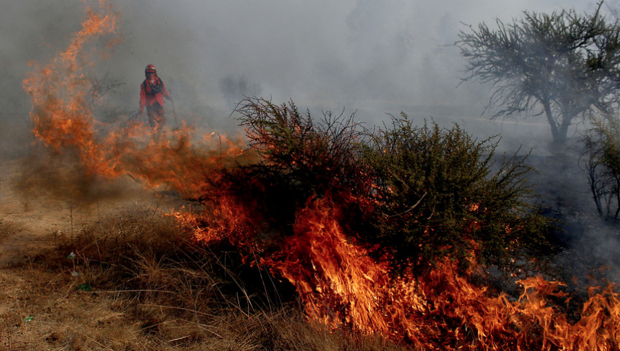 Activo se mantiene incendio forestal que ha consumido 10 hectáreas en Valparaíso