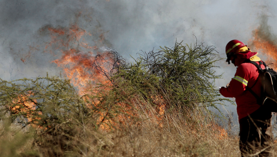 43 hectáreas ha consumido incendio forestal en el límite entre Villa Alemana y Limache