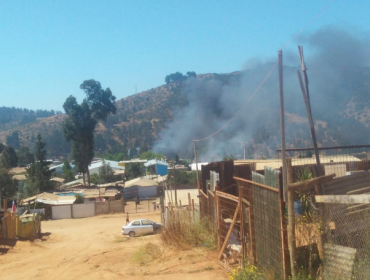 Incendio forestal en Reñaca Alto se mantiene activo y con avance rápido: una vivienda destruida