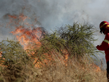 43 hectáreas ha consumido incendio forestal en el límite entre Villa Alemana y Limache