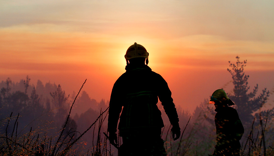 41 incendios forestales se reportan a nivel nacional: Valparaíso concentra la mayoría