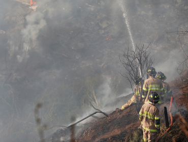 Incendio forestal en Santo Domingo se convirtió en el más extenso del año: 1.020 hectáreas