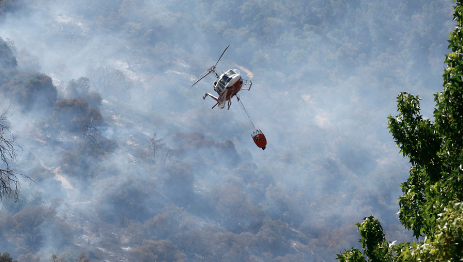 Onemi informó que de los 44 incendios forestales en el país, 12 se mantienen activos