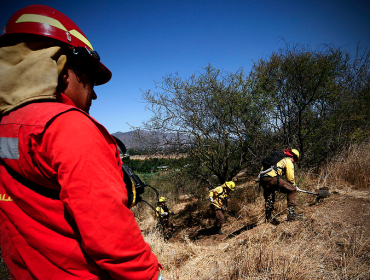 Brigadas del sur arribarán a la región de Valparaíso para combatir incendios forestales