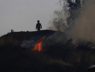 Intendente de Valparaíso: Rebrote de incendio en La Pólvora pudo ocasionar un megaincendio