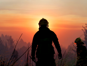 41 incendios forestales se reportan a nivel nacional: Valparaíso concentra la mayoría