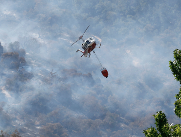 Onemi informó que de los 44 incendios forestales en el país, 12 se mantienen activos