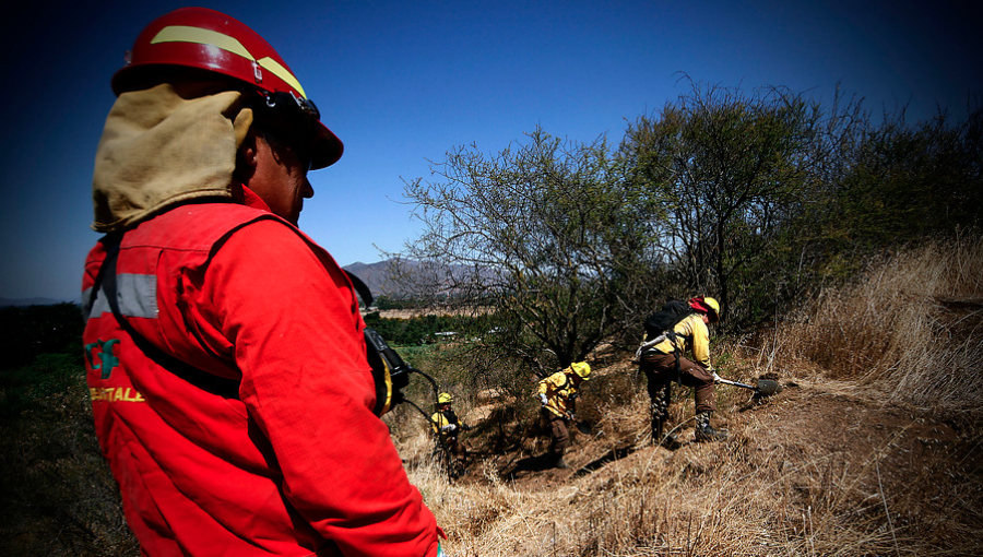 Brigadas del sur arribarán a la región de Valparaíso para combatir incendios forestales