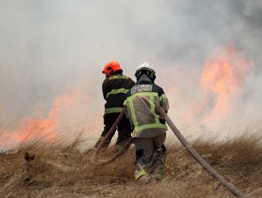 Fiscalía investiga cables en mal estado como causante de incendios en Navidad