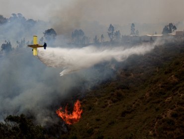 Conaf reporta 26 incendios forestales de los cuales 7 se encuentran activos