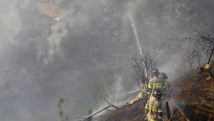 Conaf reporta 25 incendios forestales y superficie afectada de 3.000 hectáreas