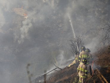 Conaf reporta 25 incendios forestales y superficie afectada de 3.000 hectáreas