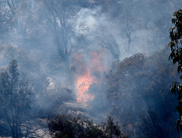 Presentan denuncia y piden fiscal preferente para investigar intencionalidad en incendio de Curauma