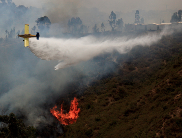 Temporada ha registrado más incendios forestales, pero con menos hectáreas afectadas