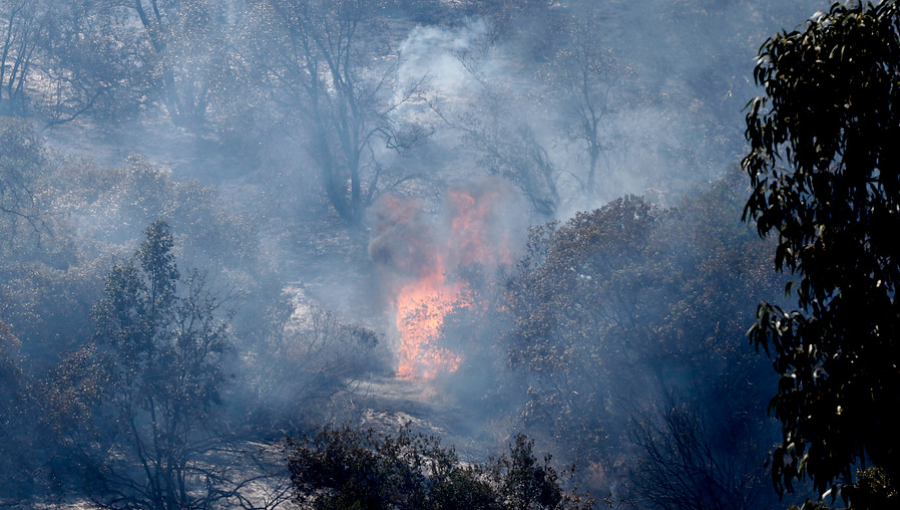 Presentan denuncia y piden fiscal preferente para investigar intencionalidad en incendio de Curauma