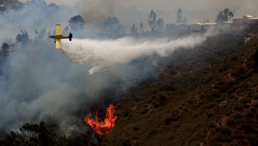 Temporada ha registrado más incendios forestales, pero con menos hectáreas afectadas