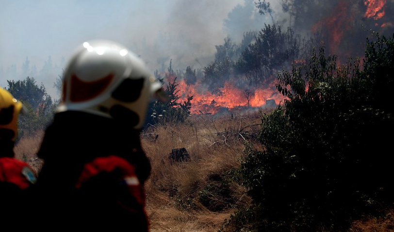 Alerta Roja en Quintero por incendio forestal en Santa Rosa de Colmo