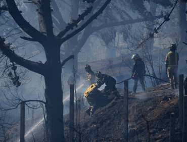 Ministro de Agricultura pidió a los chilenos "sensibilizarse" con efectos de incendios forestales