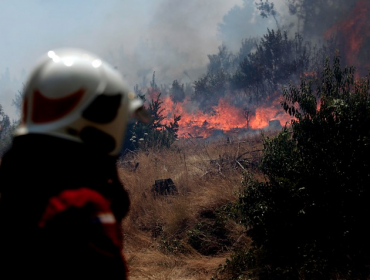 Alerta Roja en Quintero por incendio forestal en Santa Rosa de Colmo