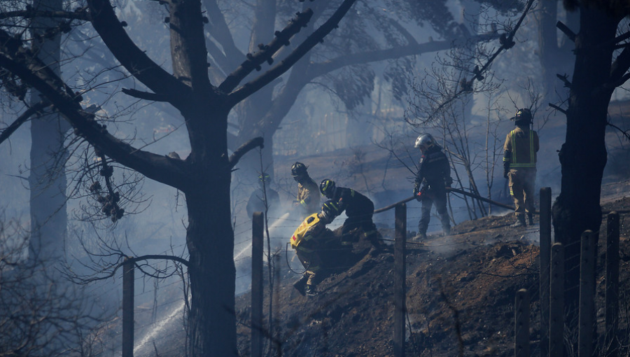 Ministro de Agricultura pidió a los chilenos "sensibilizarse" con efectos de incendios forestales