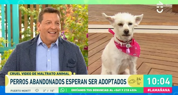 Julio César Rodríguez reveló la historia de su perrita y por qué lo acompaña a todos lados