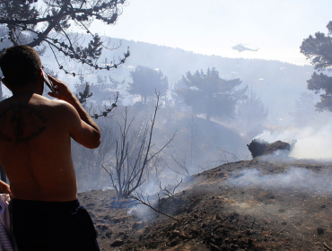 Fiscales especiales investigarán orígenes de incendios forestales en la región de Valparaíso