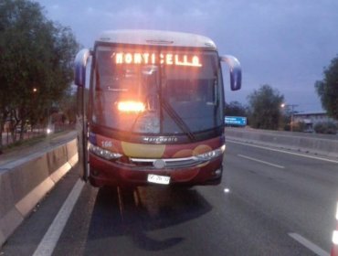 Bus del casino Monticello atropelló y dio muerte a peatón que habría cruzado en paso no habilitado