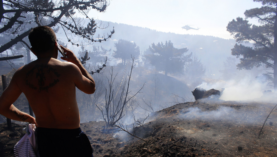 Fiscales especiales investigarán orígenes de incendios forestales en la región de Valparaíso