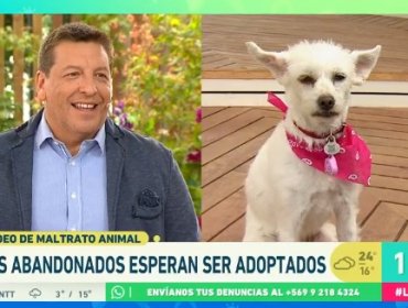 Julio César Rodríguez reveló la historia de su perrita y por qué lo acompaña a todos lados