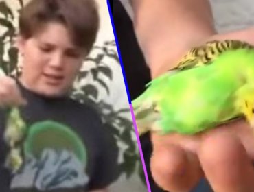 "Adiós Chimuelo": Niño protagonista del viral del año explicó todo sobre el video