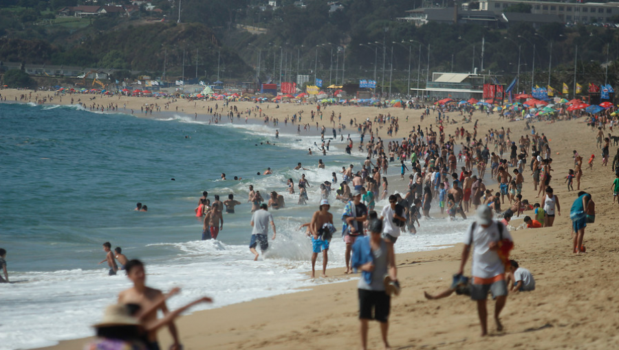 Viña del Mar lanzó programa "Verano Seguro" y anunció módulos de información turística