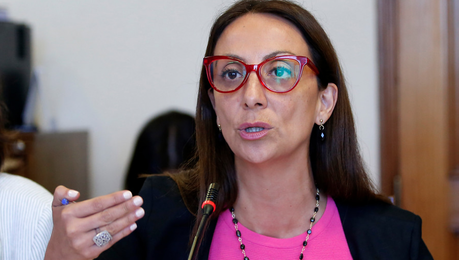 Cecilia Pérez: "Son inaceptables las insolencias del dictador Nicolás Maduro"