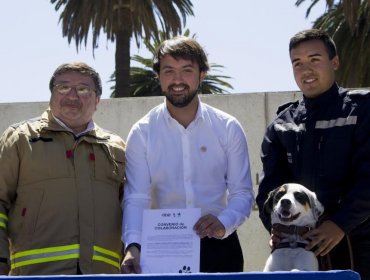 Bomberos comenzó a administrar los 672 estacionamientos del plan de Valparaíso