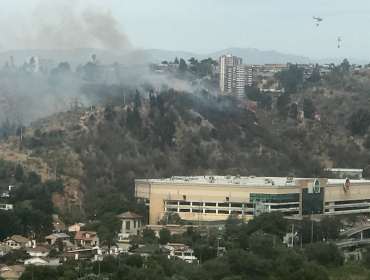 Supermercado donó $5 millones a Bomberos de Viña por evitar que incendio los alcanzara