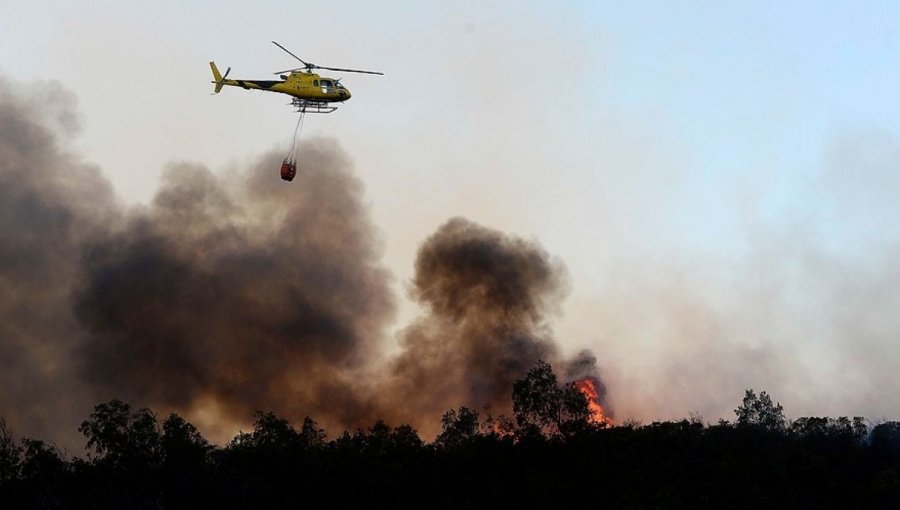 Familias descartan que protagonistas de polémico video hayan iniciado incendio en Curauma