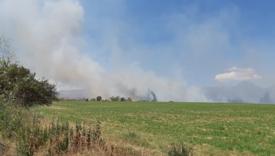 Intendencia Metropolitana declara Alerta Roja en Puente Alto por incendio forestal