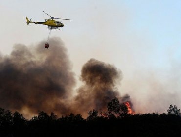 Familias descartan que protagonistas de polémico video hayan iniciado incendio en Curauma