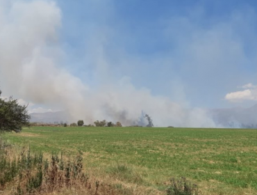 Intendencia Metropolitana declara Alerta Roja en Puente Alto por incendio forestal