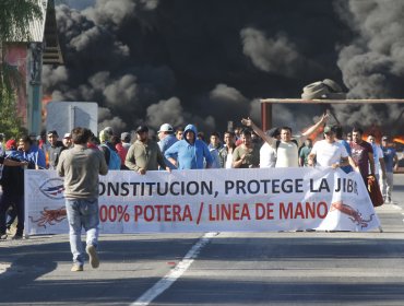 La "guerra de la jibia" continúa: Pescadores amenazan con radicalizar protestas