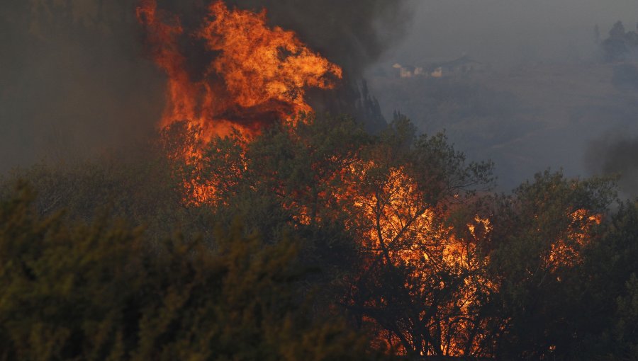 Alerta roja en Melipilla por incendio forestal que amenaza a viviendas