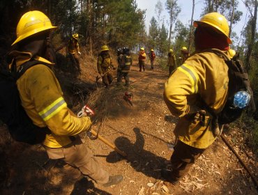 Conaf controla incendio forestal en Melipilla y se cancela la alerta roja