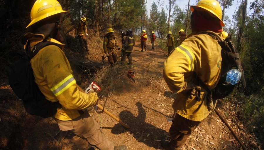 Conaf controla incendio forestal en Melipilla y se cancela la alerta roja