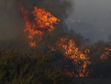 Alerta roja en Melipilla por incendio forestal que amenaza a viviendas